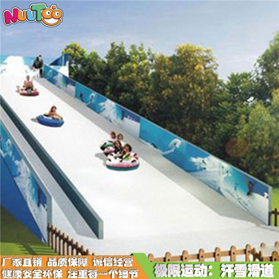 兒童樂園 環(huán)保安全七彩旱雪滑道 鄉(xiāng)村旅游好項(xiàng)目