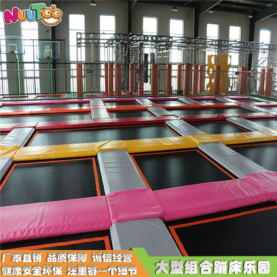 童蹦蹦床廠家 兒童蹦蹦床設(shè)備生產(chǎn)廠家LT-BC005